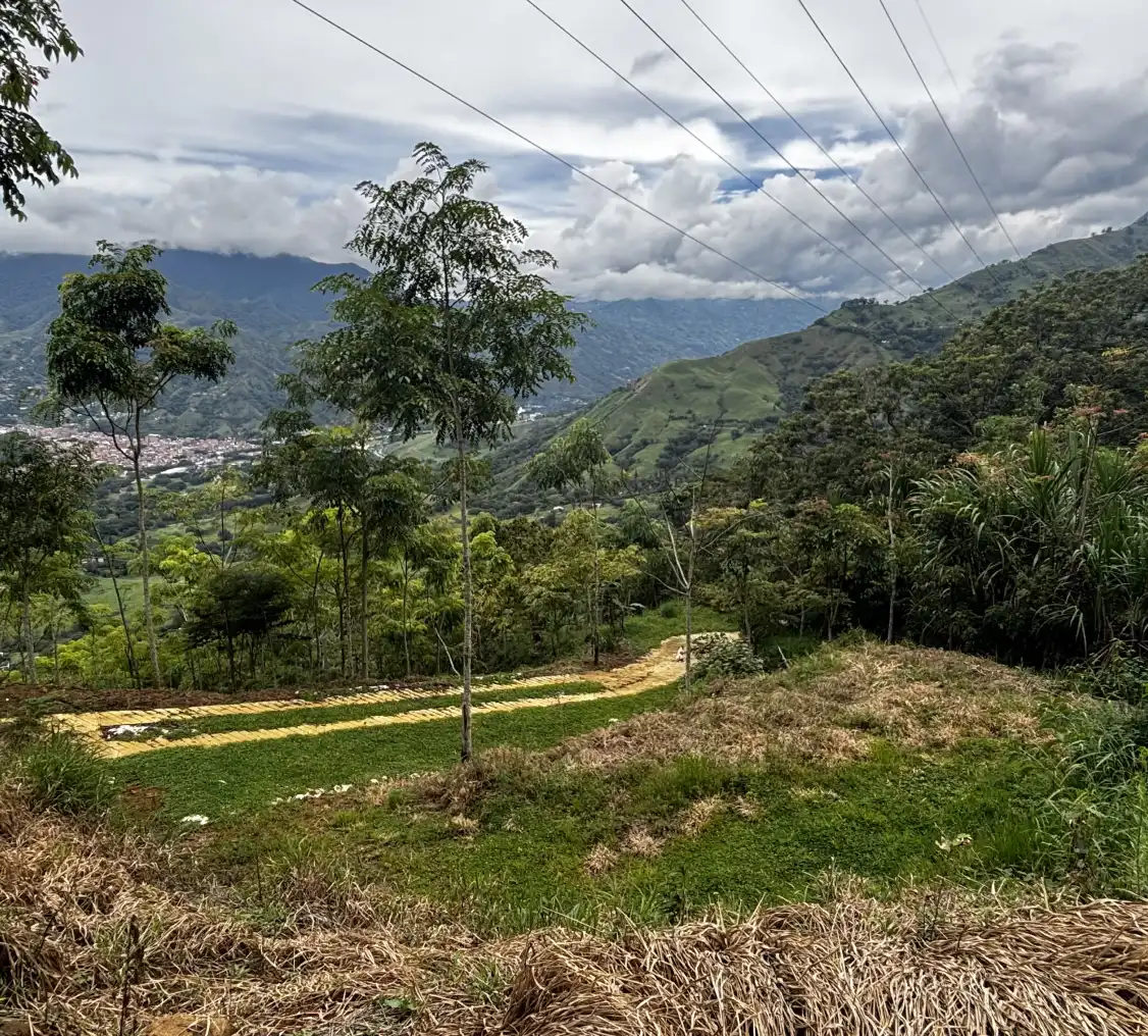 image_3_lote_arboleda