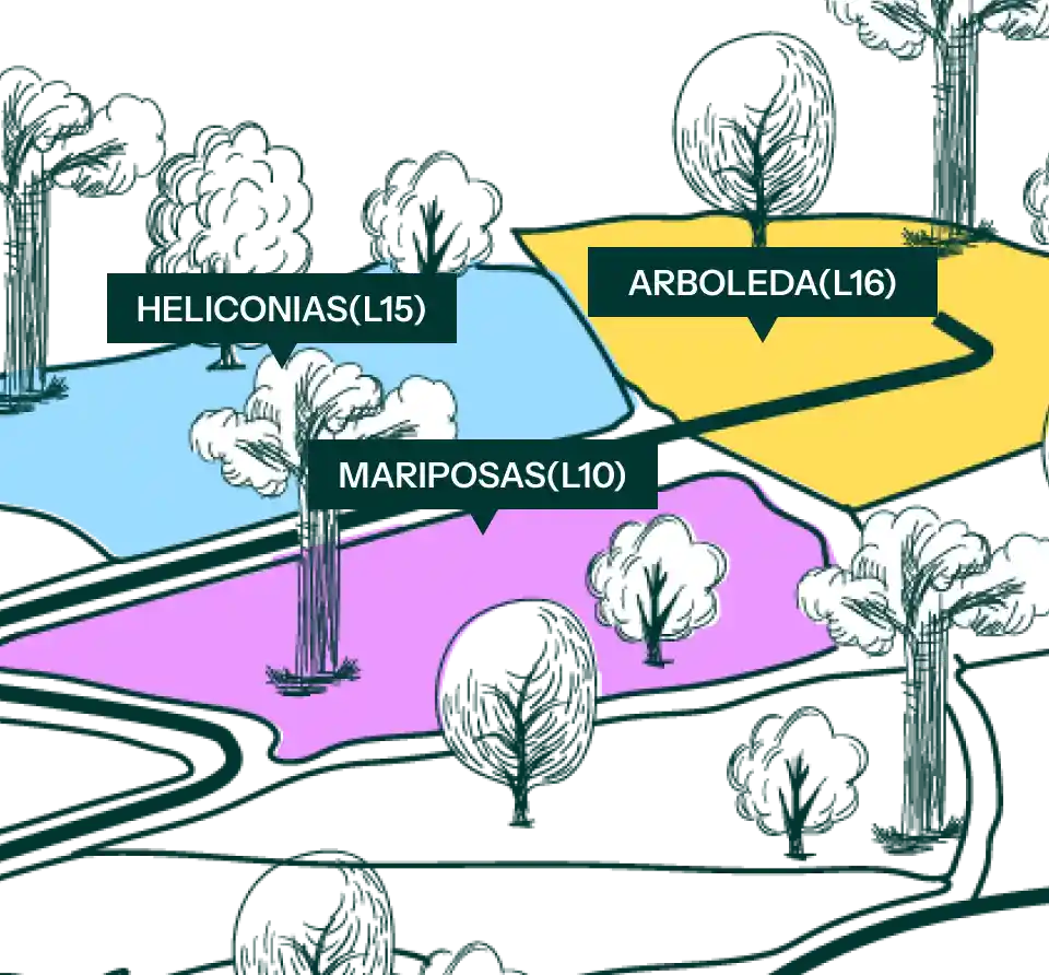 mapa_primavera_mobile