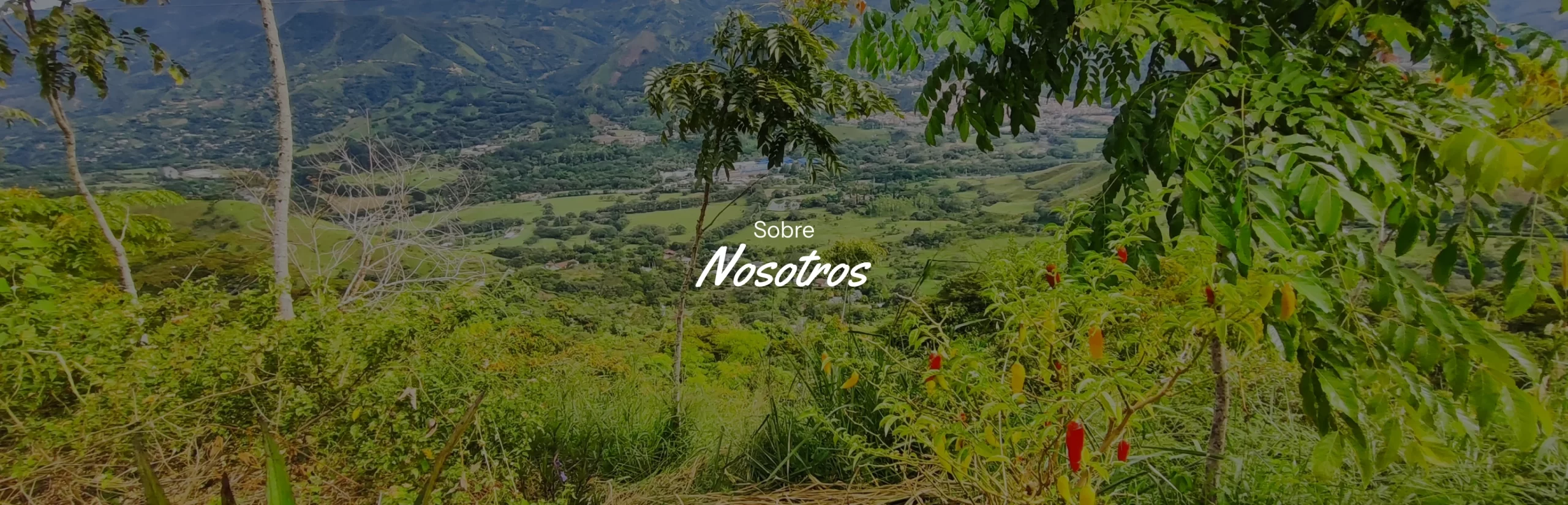 sobre_nosotros_primavera_lotes